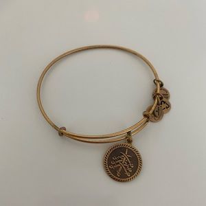 Alex and Ani Seven Swords Bracelet
